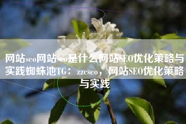 网站seo网站seo是什么网站SEO优化策略与实践蜘蛛池TG:zzcseo,网站SEO优化策略与实践 网站seo网站seo是什么网站SEO优化策略与实践蜘蛛池TG:zzcseo,网站SEO优化策略与实践