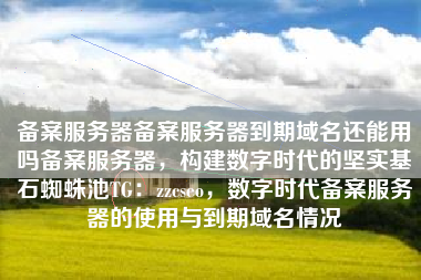 备案服务器备案服务器到期域名还能用吗备案服务器，构建数字时代的坚实基石蜘蛛池TG：zzcseo，数字时代备案服务器的使用与到期域名情况