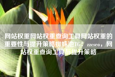 网站权重网站权重查询工具网站权重的重要性与提升策略蜘蛛池TG：zzcseo，网站权重查询工具与提升策略