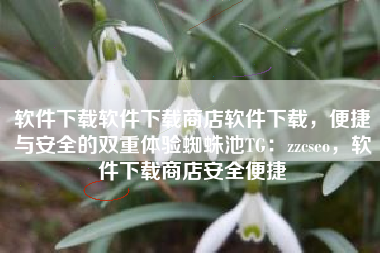 软件下载软件下载商店软件下载，便捷与安全的双重体验蜘蛛池TG：zzcseo，软件下载商店安全便捷