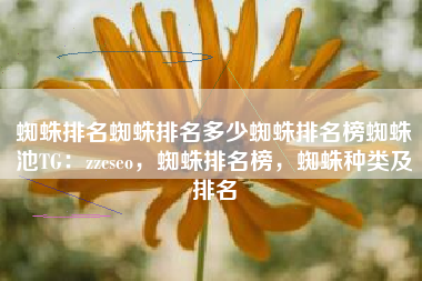 蜘蛛排名蜘蛛排名多少蜘蛛排名榜蜘蛛池TG：zzcseo，蜘蛛排名榜，蜘蛛种类及排名
