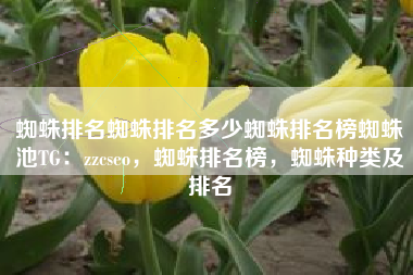 蜘蛛排名蜘蛛排名多少蜘蛛排名榜蜘蛛池TG:zzcseo,蜘蛛排名榜,蜘蛛种类及排名 蜘蛛排名蜘蛛排名多少蜘蛛排名榜蜘蛛池TG:zzcseo,蜘蛛排名榜,蜘蛛种类及排名