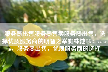 服务器出售服务器售卖服务器出售,选择优质服务商的明智之举蜘蛛池TG:zzcseo,服务器出售,优质服务商的选择 服务器出售服务器售卖服务器出售,选择优质服务商的明智之举蜘蛛池TG:zzcseo,服务器出售,优质服务商的选择