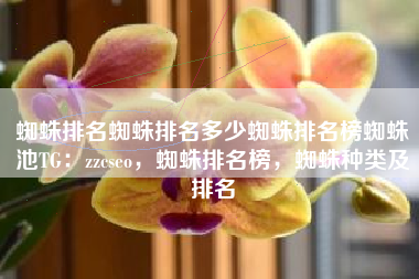 蜘蛛排名蜘蛛排名多少蜘蛛排名榜蜘蛛池TG:zzcseo,蜘蛛排名榜,蜘蛛种类及排名 蜘蛛排名蜘蛛排名多少蜘蛛排名榜蜘蛛池TG:zzcseo,蜘蛛排名榜,蜘蛛种类及排名