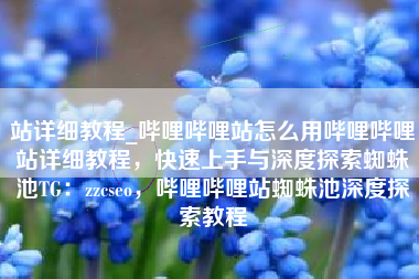 站详细教程_哔哩哔哩站怎么用哔哩哔哩站详细教程,快速上手与深度探索蜘蛛池TG:zzcseo,哔哩哔哩站蜘蛛池深度探索教程 站详细教程_哔哩哔哩站怎么用哔哩哔哩站详细教程,快速上手与深度探索蜘蛛池TG:zzcseo,哔哩哔哩站蜘蛛池深度探索教程