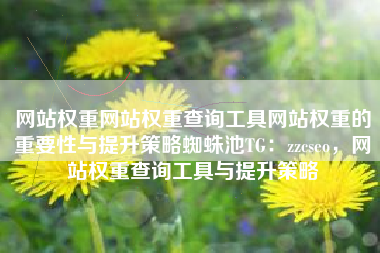 网站权重网站权重查询工具网站权重的重要性与提升策略蜘蛛池TG：zzcseo，网站权重查询工具与提升策略