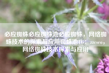 必应蜘蛛必应蜘蛛池必应蜘蛛，网络蜘蛛技术的探索与应用蜘蛛池TG：zzcseo，网络蜘蛛技术探索与应用