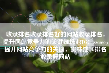收录排名收录排名好的网站收录排名，提升网站竞争力的关键蜘蛛池TG：zzcseo，提升网站竞争力的关键，蜘蛛池TG排名收录好网站