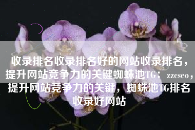 收录排名收录排名好的网站收录排名，提升网站竞争力的关键蜘蛛池TG：zzcseo，提升网站竞争力的关键，蜘蛛池TG排名收录好网站