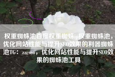 权重蜘蛛池百度权重蜘蛛ip权重蜘蛛池,优化网站性能与提升SEO效果的利器蜘蛛池TG:zzcseo,优化网站性能与提升SEO效果的蜘蛛池工具 权重蜘蛛池百度权重蜘蛛ip权重蜘蛛池,优化网站性能与提升SEO效果的利器蜘蛛池TG:zzcseo,优化网站性能与提升SEO效果的蜘蛛池工具