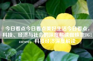 今日看点今日看点美好生活今日看点，科技、经济与社会的深度解读蜘蛛池TG：zzcseo，科技经济深度解读