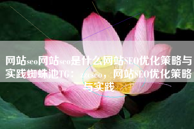 网站seo网站seo是什么网站SEO优化策略与实践蜘蛛池TG：zzcseo，网站SEO优化策略与实践