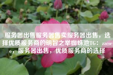 服务器出售服务器售卖服务器出售，选择优质服务商的明智之举蜘蛛池TG：zzcseo，服务器出售，优质服务商的选择