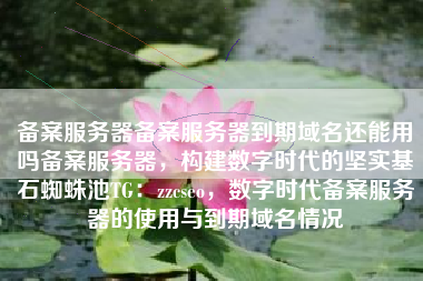 备案服务器备案服务器到期域名还能用吗备案服务器,构建数字时代的坚实基石蜘蛛池TG:zzcseo,数字时代备案服务器的使用与到期域名情况 备案服务器备案服务器到期域名还能用吗备案服务器,构建数字时代的坚实基石蜘蛛池TG:zzcseo,数字时代备案服务器的使用与到期域名情况