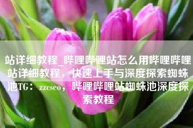 站详细教程_哔哩哔哩站怎么用哔哩哔哩站详细教程，快速上手与深度探索蜘蛛池TG：zzcseo，哔哩哔哩站蜘蛛池深度探索教程
