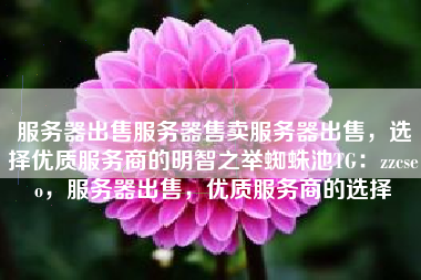 服务器出售服务器售卖服务器出售,选择优质服务商的明智之举蜘蛛池TG:zzcseo,服务器出售,优质服务商的选择 服务器出售服务器售卖服务器出售,选择优质服务商的明智之举蜘蛛池TG:zzcseo,服务器出售,优质服务商的选择