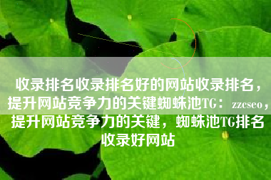 收录排名收录排名好的网站收录排名，提升网站竞争力的关键蜘蛛池TG：zzcseo，提升网站竞争力的关键，蜘蛛池TG排名收录好网站