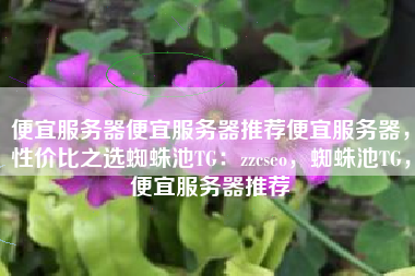 便宜服务器便宜服务器推荐便宜服务器，性价比之选蜘蛛池TG：zzcseo，蜘蛛池TG，便宜服务器推荐