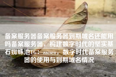 备案服务器备案服务器到期域名还能用吗备案服务器，构建数字时代的坚实基石蜘蛛池TG：zzcseo，数字时代备案服务器的使用与到期域名情况