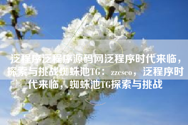 泛程序泛程序源码网泛程序时代来临，探索与挑战蜘蛛池TG：zzcseo，泛程序时代来临，蜘蛛池TG探索与挑战