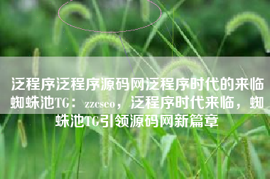 泛程序泛程序源码网泛程序时代的来临蜘蛛池TG：zzcseo，泛程序时代来临，蜘蛛池TG引领源码网新篇章