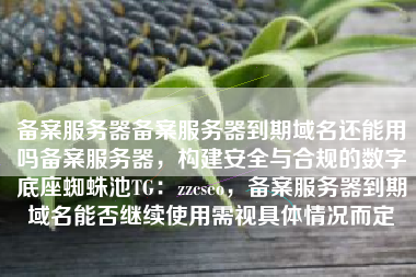 备案服务器备案服务器到期域名还能用吗备案服务器,构建安全与合规的数字底座蜘蛛池TG:zzcseo,备案服务器到期域名能否继续使用需视具体情况而定 备案服务器备案服务器到期域名还能用吗备案服务器,构建安全与合规的数字底座蜘蛛池TG:zzcseo,备案服务器到期域名能否继续使用需视具体情况而定