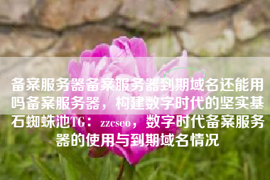 备案服务器备案服务器到期域名还能用吗备案服务器,构建数字时代的坚实基石蜘蛛池TG:zzcseo,数字时代备案服务器的使用与到期域名情况 备案服务器备案服务器到期域名还能用吗备案服务器,构建数字时代的坚实基石蜘蛛池TG:zzcseo,数字时代备案服务器的使用与到期域名情况