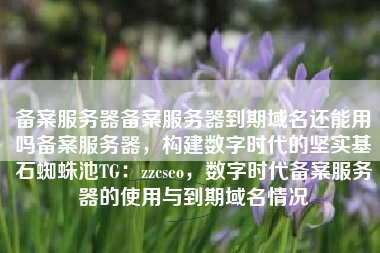 备案服务器备案服务器到期域名还能用吗备案服务器，构建数字时代的坚实基石蜘蛛池TG：zzcseo，数字时代备案服务器的使用与到期域名情况