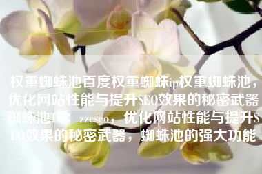 权重蜘蛛池百度权重蜘蛛ip权重蜘蛛池,优化网站性能与提升SEO效果的秘密武器蜘蛛池TG:zzcseo,优化网站性能与提升SEO效果的秘密武器,蜘蛛池的强大功能 权重蜘蛛池百度权重蜘蛛ip权重蜘蛛池,优化网站性能与提升SEO效果的秘密武器蜘蛛池TG:zzcseo,优化网站性能与提升SEO效果的秘密武器,蜘蛛池的强大功能