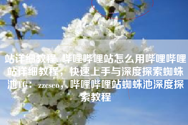 站详细教程_哔哩哔哩站怎么用哔哩哔哩站详细教程，快速上手与深度探索蜘蛛池TG：zzcseo，哔哩哔哩站蜘蛛池深度探索教程