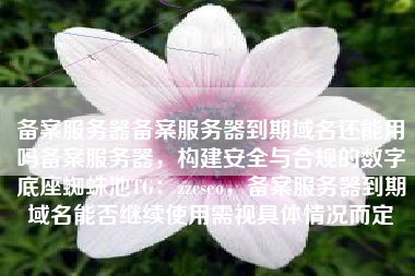 备案服务器备案服务器到期域名还能用吗备案服务器,构建安全与合规的数字底座蜘蛛池TG:zzcseo,备案服务器到期域名能否继续使用需视具体情况而定 备案服务器备案服务器到期域名还能用吗备案服务器,构建安全与合规的数字底座蜘蛛池TG:zzcseo,备案服务器到期域名能否继续使用需视具体情况而定