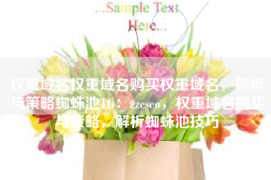 权重域名权重域名购买权重域名，解析与策略蜘蛛池TG：zzcseo，权重域名购买与策略，解析蜘蛛池技巧