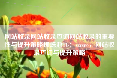 网站收录网站收录查询网站收录的重要性与提升策略蜘蛛池TG：zzcseo，网站收录查询与提升策略