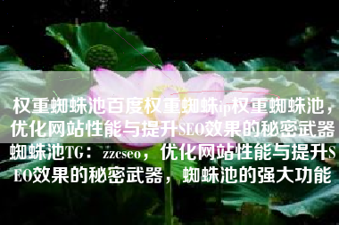 权重蜘蛛池百度权重蜘蛛ip权重蜘蛛池，优化网站性能与提升SEO效果的秘密武器蜘蛛池TG：zzcseo，优化网站性能与提升SEO效果的秘密武器，蜘蛛池的强大功能