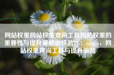 网站权重网站权重查询工具网站权重的重要性与提升策略蜘蛛池TG:zzcseo,网站权重查询工具与提升策略 网站权重网站权重查询工具网站权重的重要性与提升策略蜘蛛池TG:zzcseo,网站权重查询工具与提升策略