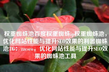 权重蜘蛛池百度权重蜘蛛ip权重蜘蛛池，优化网站性能与提升SEO效果的利器蜘蛛池TG：zzcseo，优化网站性能与提升SEO效果的蜘蛛池工具