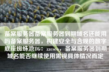 备案服务器备案服务器到期域名还能用吗备案服务器,构建安全与合规的数字底座蜘蛛池TG:zzcseo,备案服务器到期域名能否继续使用需视具体情况而定 备案服务器备案服务器到期域名还能用吗备案服务器,构建安全与合规的数字底座蜘蛛池TG:zzcseo,备案服务器到期域名能否继续使用需视具体情况而定