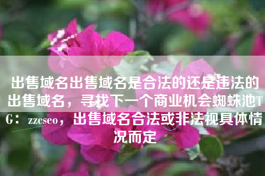 出售域名出售域名是合法的还是违法的出售域名，寻找下一个商业机会蜘蛛池TG：zzcseo，出售域名合法或非法视具体情况而定