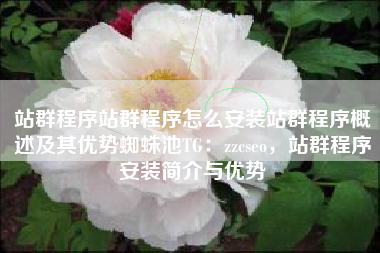 站群程序站群程序怎么安装站群程序概述及其优势蜘蛛池TG：zzcseo，站群程序安装简介与优势