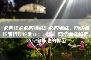 必应蜘蛛必应蜘蛛池必应蜘蛛，网络蜘蛛解析蜘蛛池TG：zzcseo，网络蜘蛛解析，必应蜘蛛池的秘密