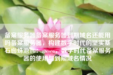 备案服务器备案服务器到期域名还能用吗备案服务器，构建数字时代的坚实基石蜘蛛池TG：zzcseo，数字时代备案服务器的使用与到期域名情况