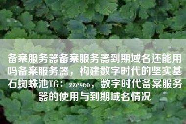 备案服务器备案服务器到期域名还能用吗备案服务器，构建数字时代的坚实基石蜘蛛池TG：zzcseo，数字时代备案服务器的使用与到期域名情况