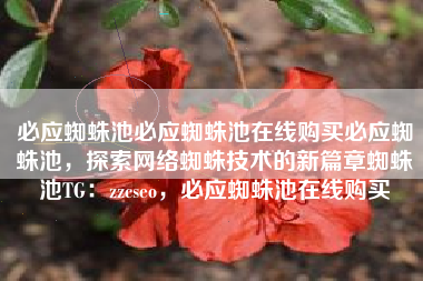 必应蜘蛛池必应蜘蛛池在线购买必应蜘蛛池,探索网络蜘蛛技术的新篇章蜘蛛池TG:zzcseo,必应蜘蛛池在线购买 必应蜘蛛池必应蜘蛛池在线购买必应蜘蛛池,探索网络蜘蛛技术的新篇章蜘蛛池TG:zzcseo,必应蜘蛛池在线购买