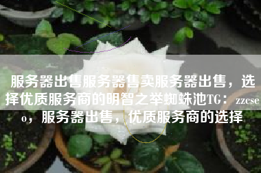 服务器出售服务器售卖服务器出售，选择优质服务商的明智之举蜘蛛池TG：zzcseo，服务器出售，优质服务商的选择