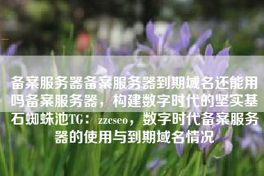 备案服务器备案服务器到期域名还能用吗备案服务器,构建数字时代的坚实基石蜘蛛池TG:zzcseo,数字时代备案服务器的使用与到期域名情况 备案服务器备案服务器到期域名还能用吗备案服务器,构建数字时代的坚实基石蜘蛛池TG:zzcseo,数字时代备案服务器的使用与到期域名情况