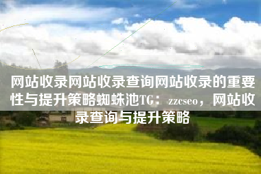 网站收录网站收录查询网站收录的重要性与提升策略蜘蛛池TG：zzcseo，网站收录查询与提升策略