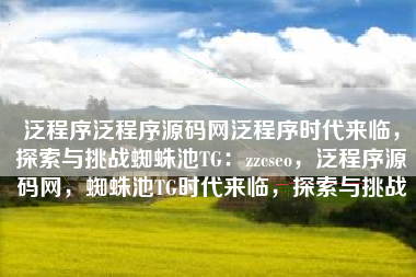 泛程序泛程序源码网泛程序时代来临，探索与挑战蜘蛛池TG：zzcseo，泛程序源码网，蜘蛛池TG时代来临，探索与挑战
