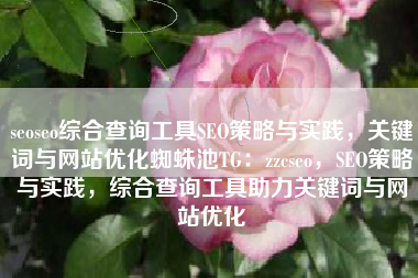 seoseo综合查询工具SEO策略与实践,关键词与网站优化蜘蛛池TG:zzcseo,SEO策略与实践,综合查询工具助力关键词与网站优化 seoseo综合查询工具SEO策略与实践,关键词与网站优化蜘蛛池TG:zzcseo,SEO策略与实践,综合查询工具助力关键词与网站优化