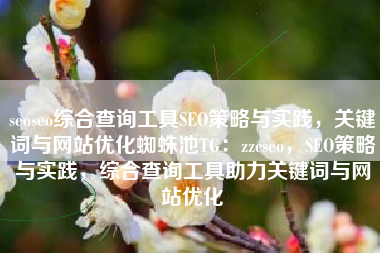 seoseo综合查询工具SEO策略与实践，关键词与网站优化蜘蛛池TG：zzcseo，SEO策略与实践，综合查询工具助力关键词与网站优化