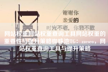 网站权重网站权重查询工具网站权重的重要性与提升策略蜘蛛池TG:zzcseo,网站权重查询工具与提升策略 网站权重网站权重查询工具网站权重的重要性与提升策略蜘蛛池TG:zzcseo,网站权重查询工具与提升策略